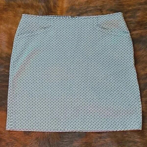 Ellen Tracy straight skirt